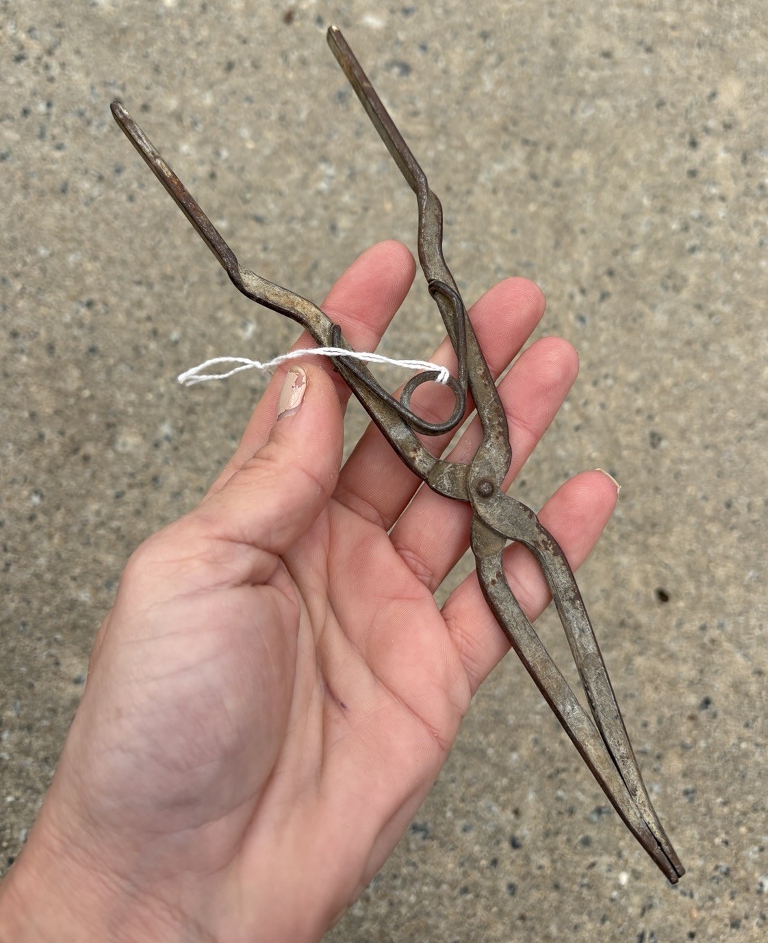 Antique Primitive Crucible Tong Lab Tool Vintage Science Pinchers Rustic Decor