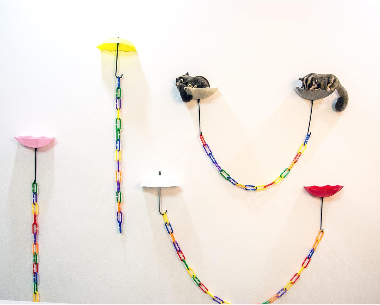 6Pack Sugar gliders platform,140pcs C-Clips climbing chain for sugar gliders，bir