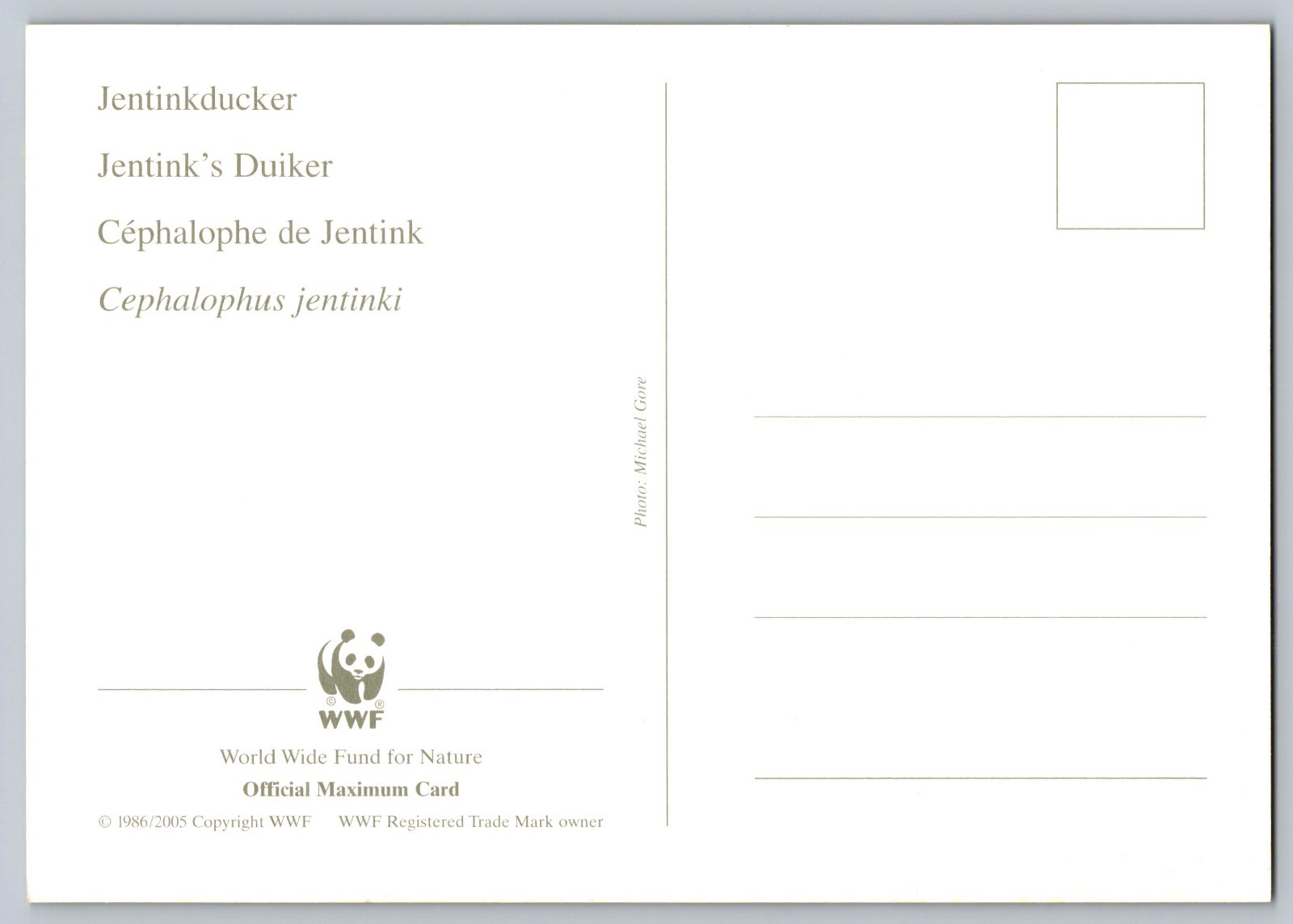 Liberia 2005 Jentink's Duiker & Ogilby's Duiker Set of Four FDC Maxi Cards