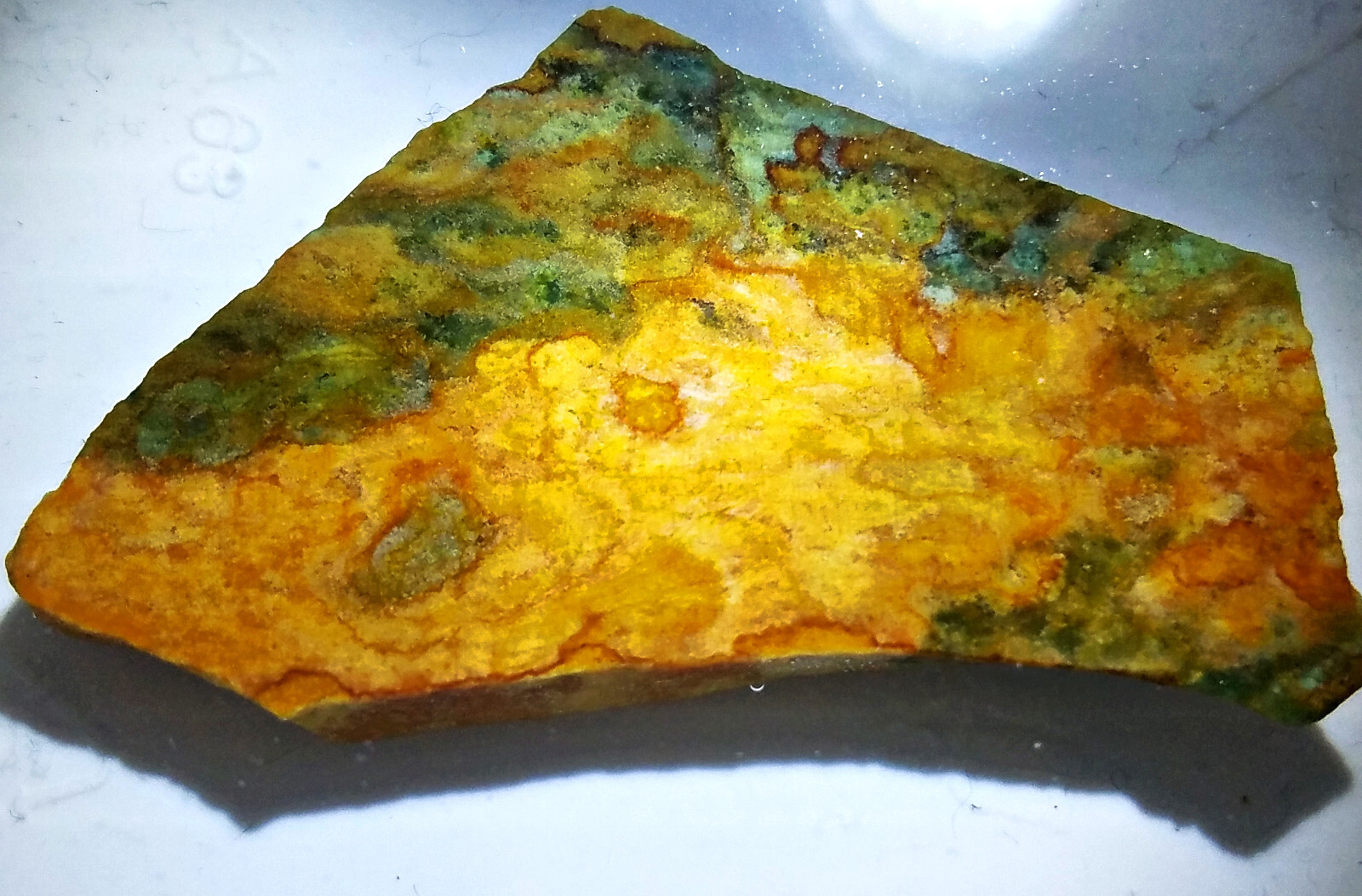 AAA+ Porcelain Vistaite Jasper Slab Oregon Rocks Cabochon JoNGD:LapidaryGreen