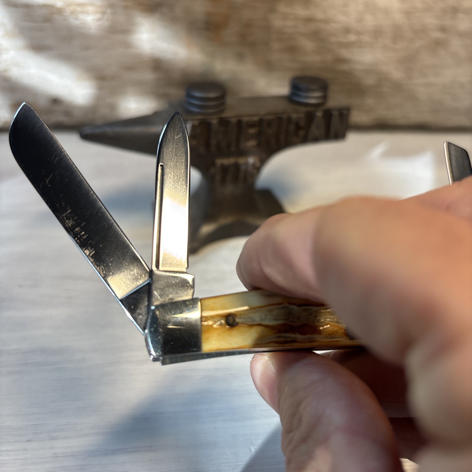 Case XX SC64052 1993 4 Blade Congress Pocket Knife Second Cut Bone Stag