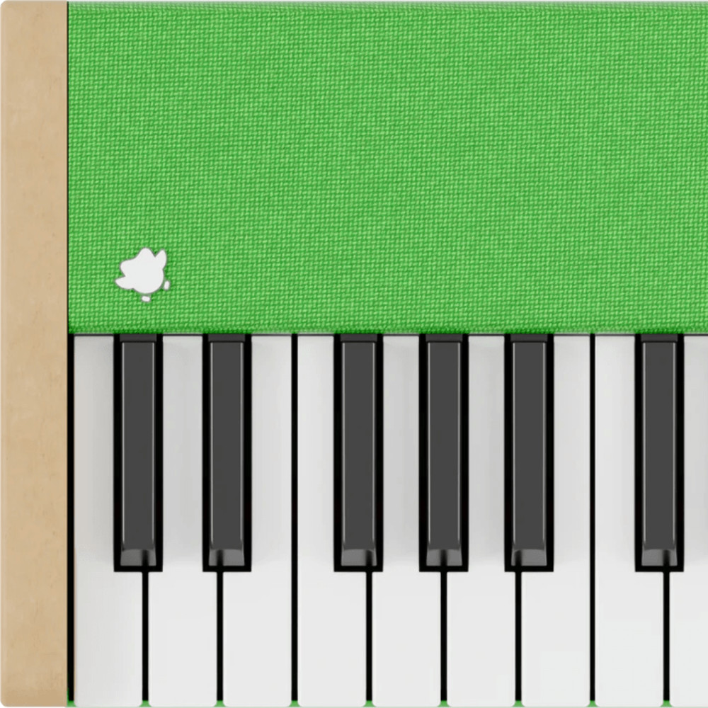 Loog X Duolingo Piano