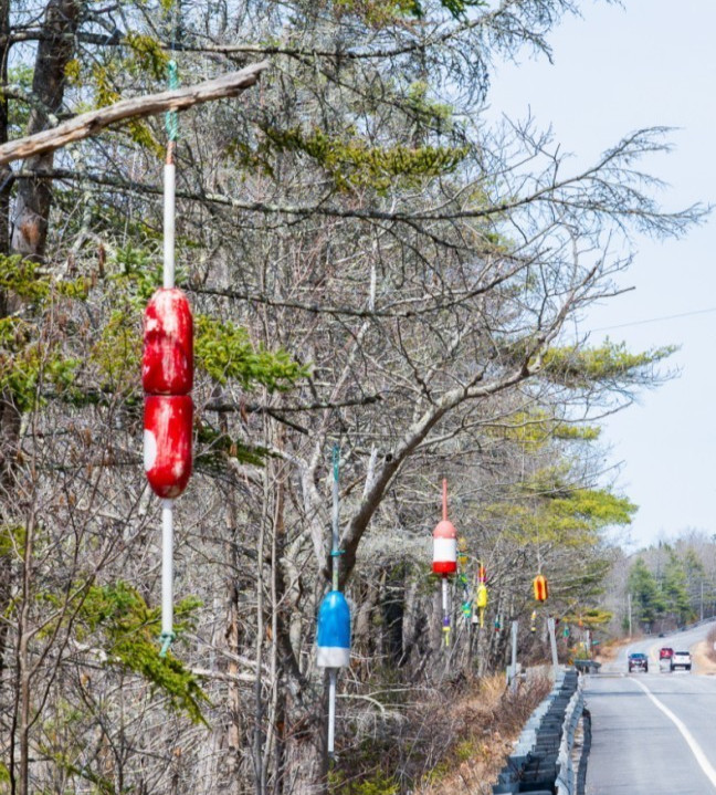 FREE SHIP 205 Maine Lobster BUOY nautical pot bouy float shore crab Lake CAPE