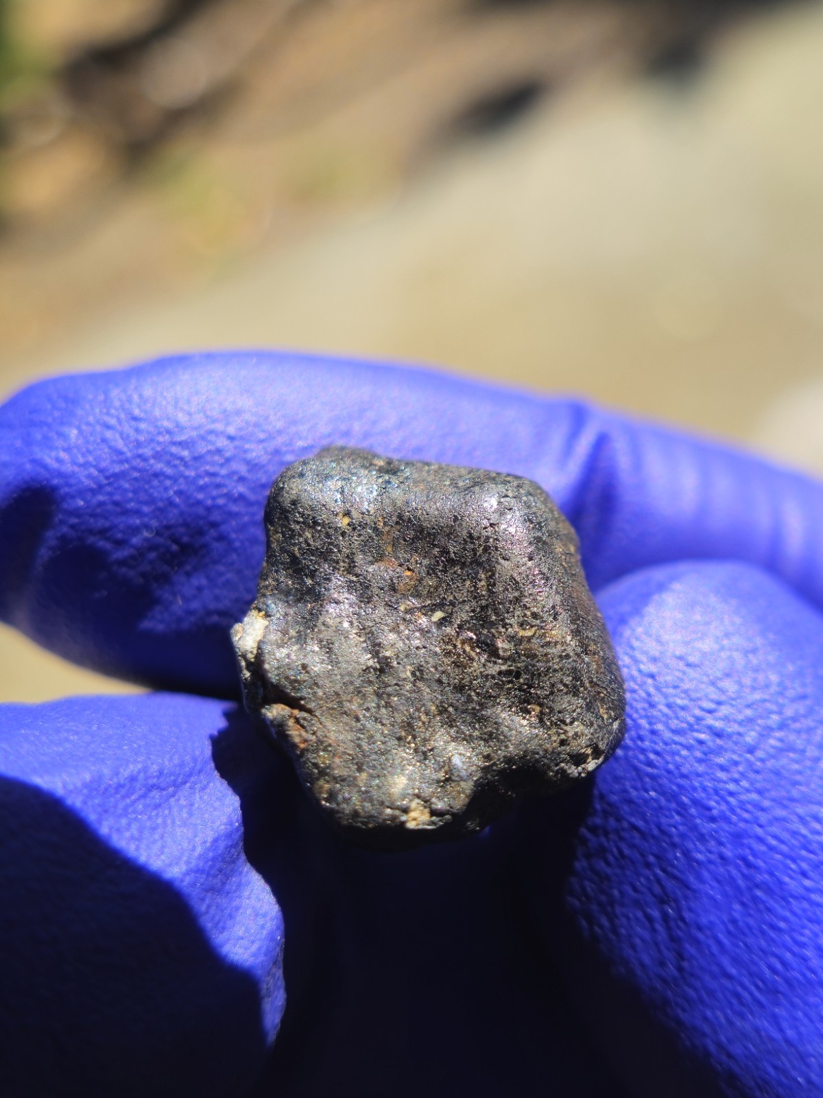 Chelyabinsk Meteorites 2.213g Fresh Crusted Individual COA Russia