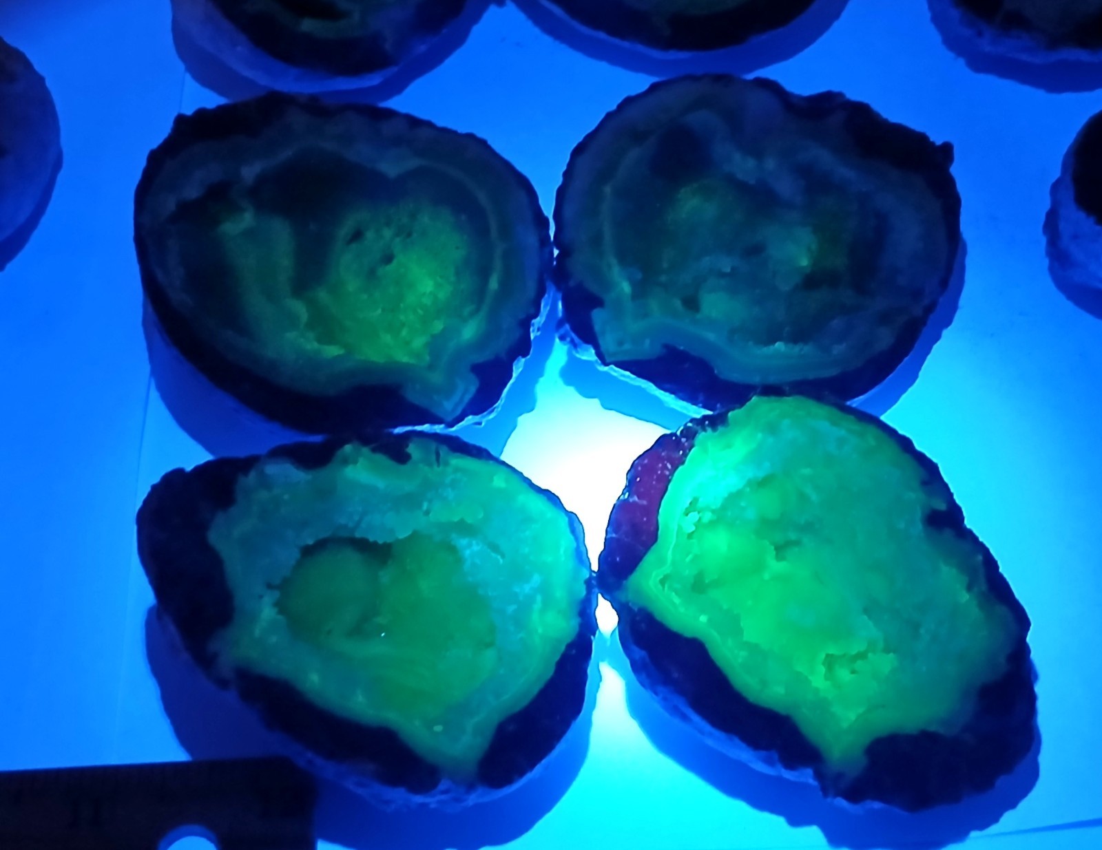 Bulk 2 Pound Group of Small Utah Dugway Geodes Thundereggs 1.50-2.00"