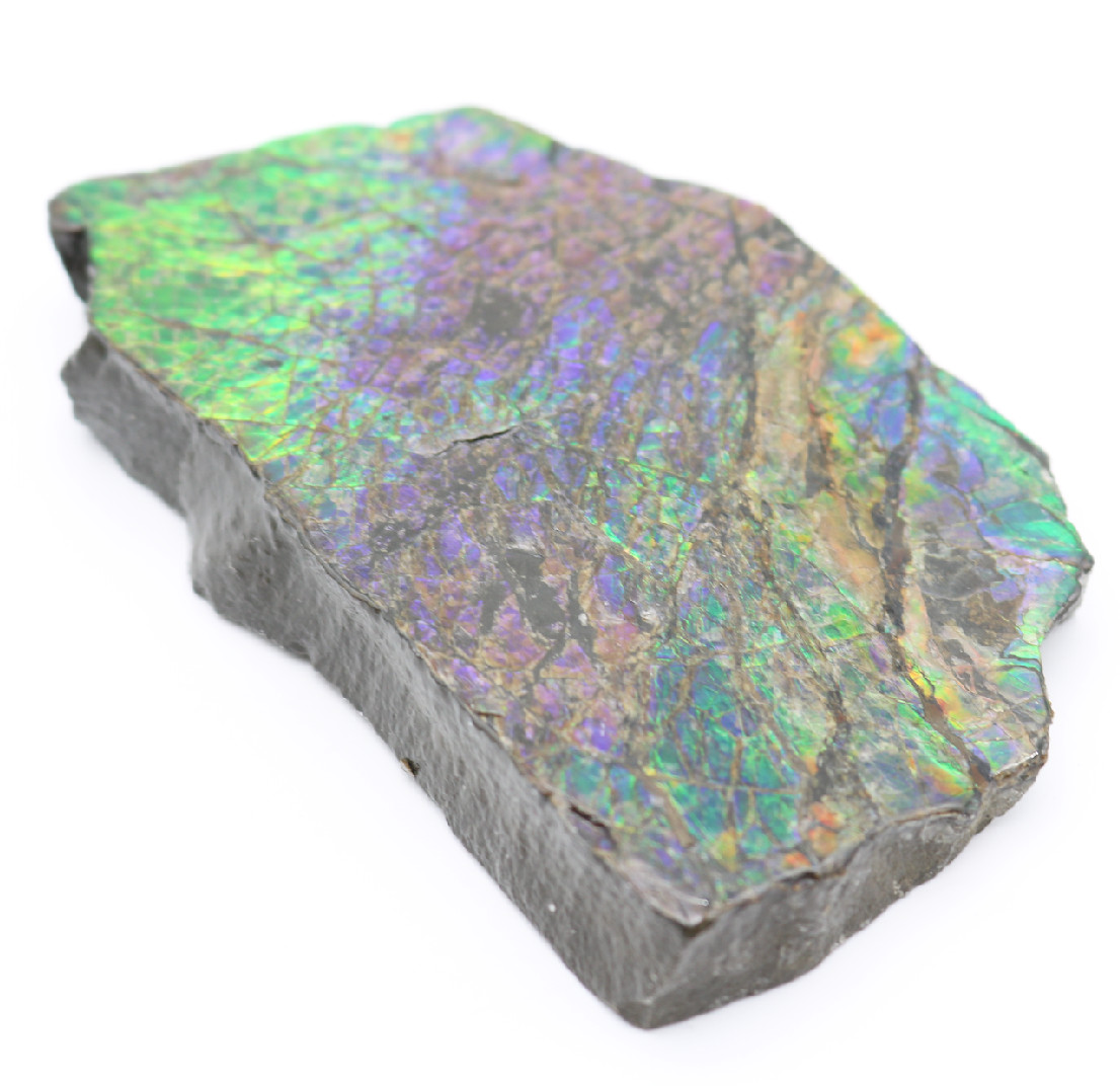 Stunning IRIDESCENT Fossil AMMOLITE Slab Reflective RAINBOW Mineral Specimen