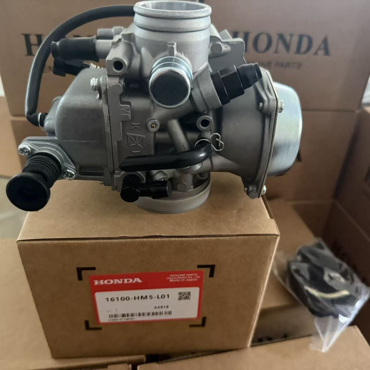 NEW OEM Carburetor For Honda 1988-2000 Fourtrax 300 TRX300 16100-HM5-L01 US