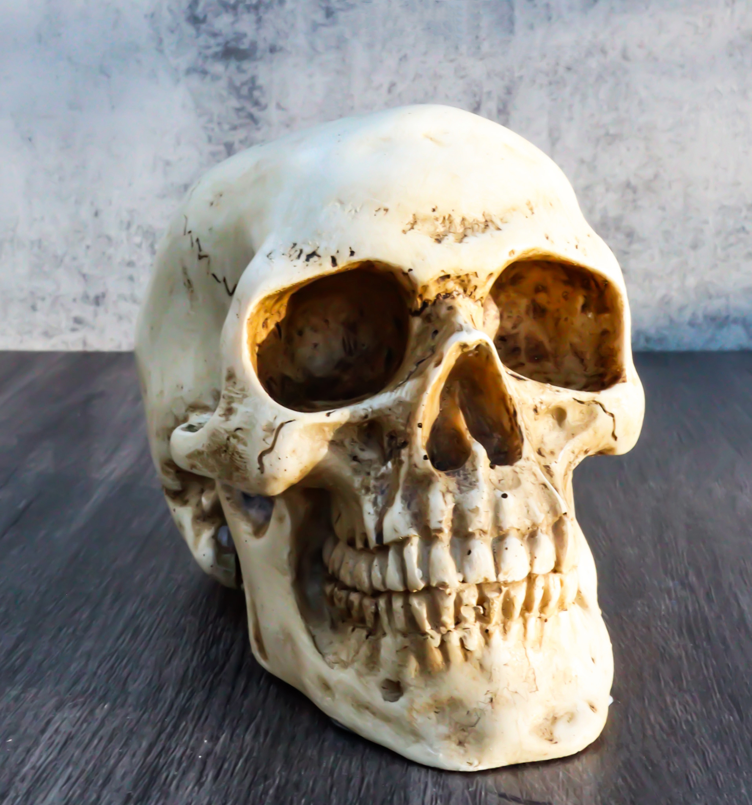 Small Skull Head Statue Cold Cast Resin Figurine 3.5" Tall