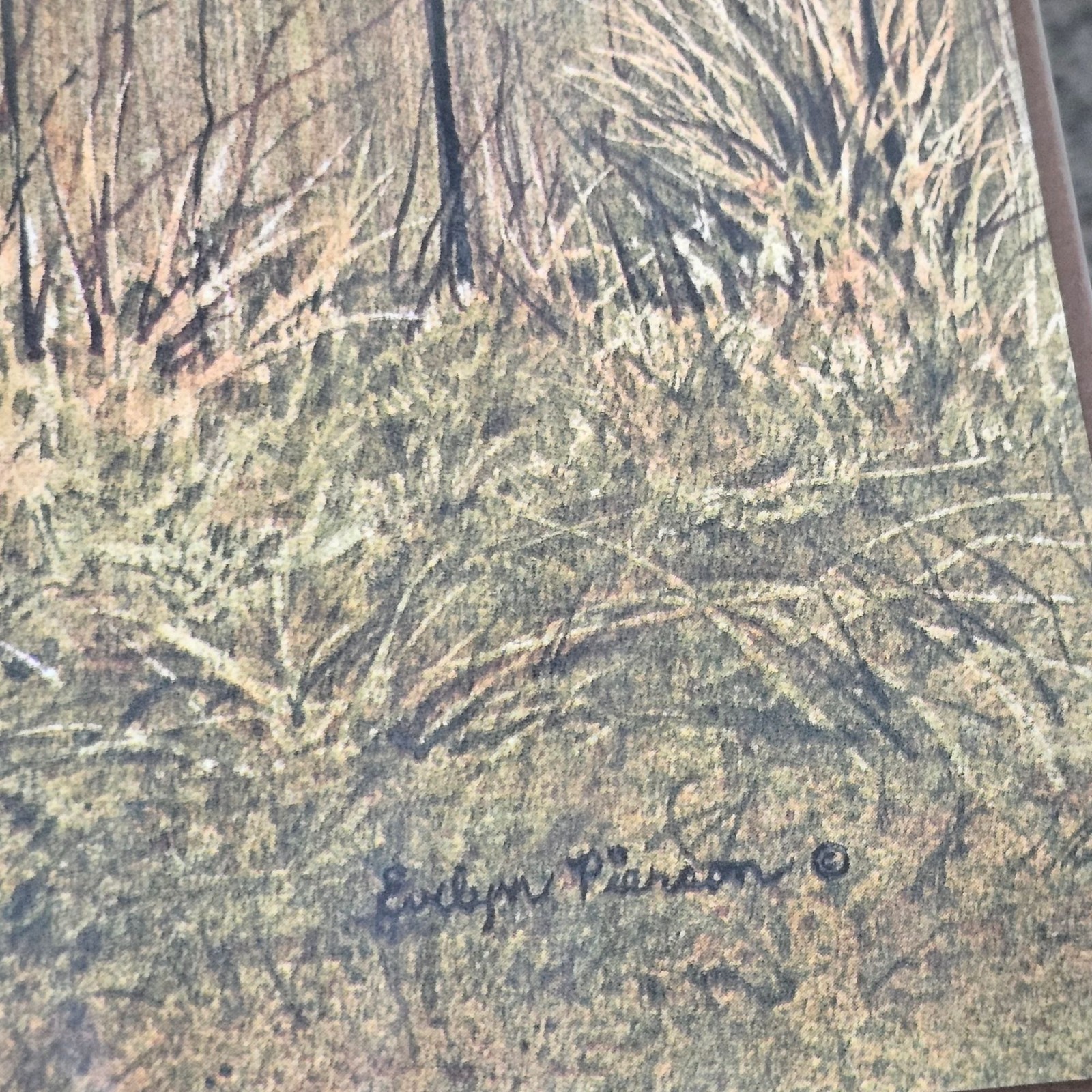 Pecking Party Print By Evelyn Pierson Farmhouse Decor Chicken Rooster 14" x 11"