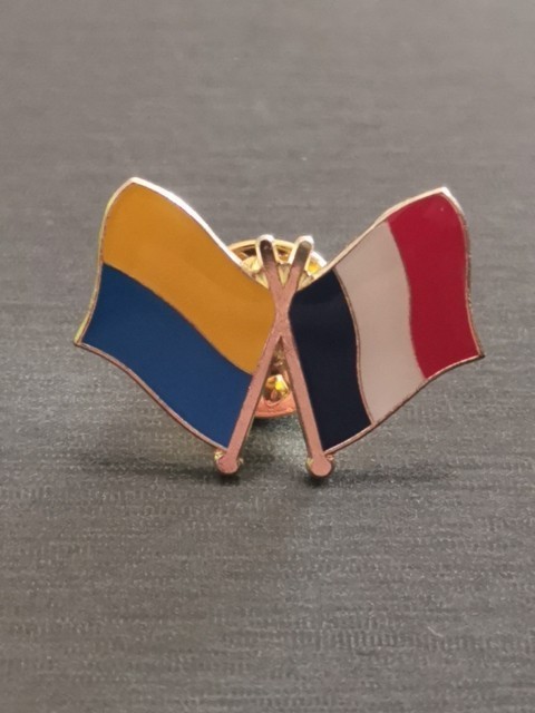 FRENCH FLAG FRIENDSHIP pin Badge Patch New