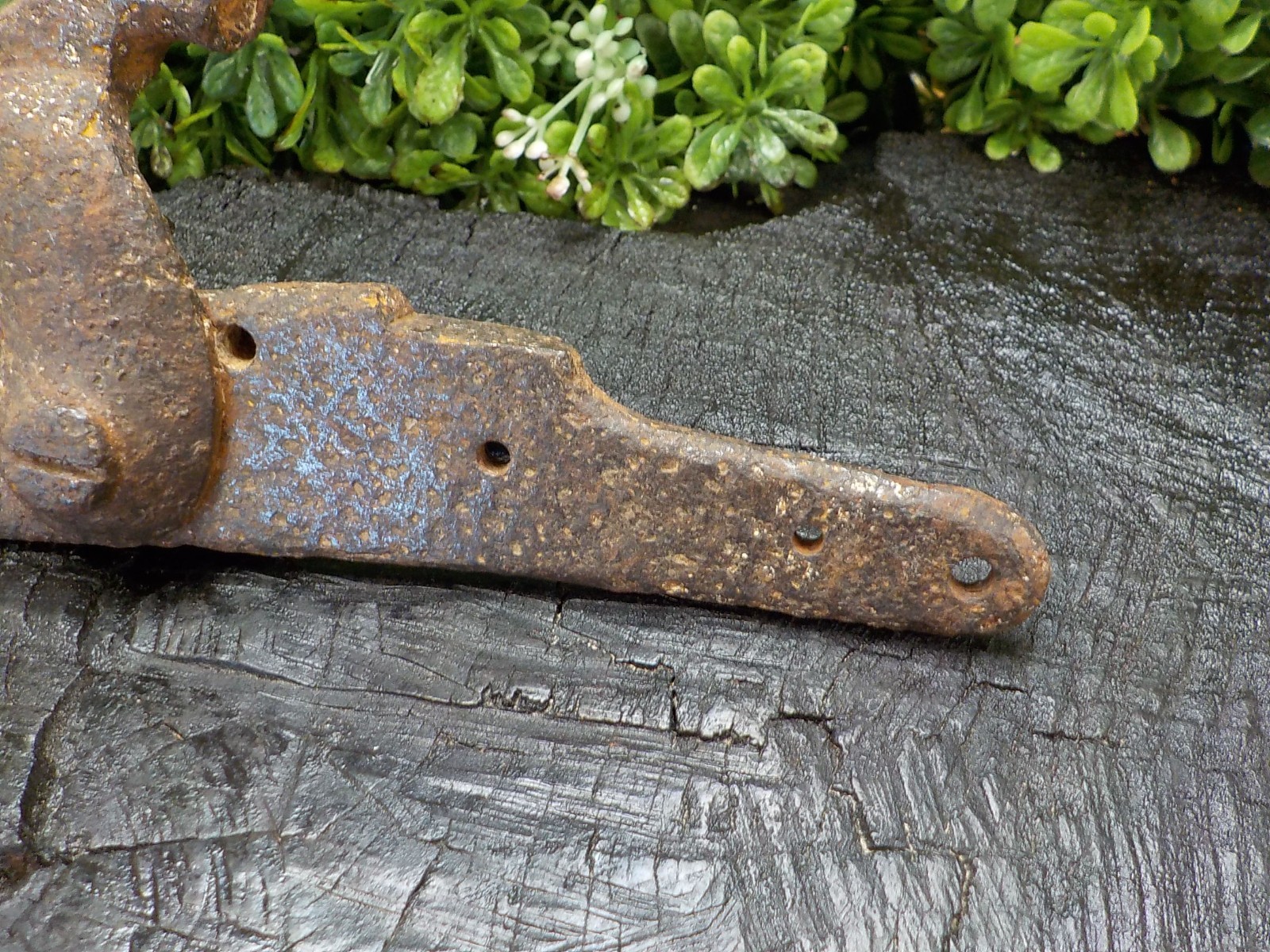 Old Rare Vintage Antique Civil War Relic Infantry Buttons Lockplate Bullets