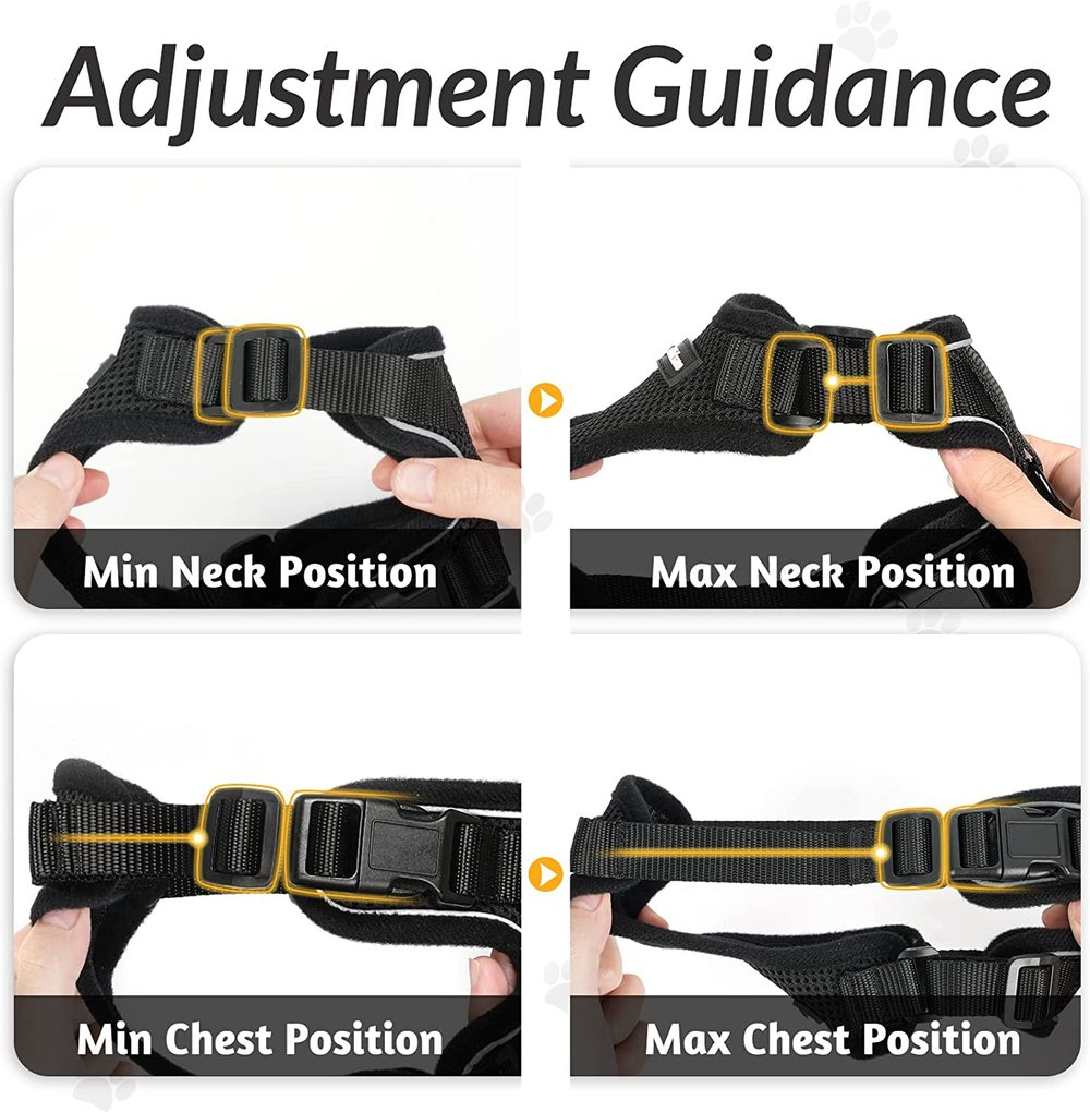 rabbitgoo Pet Cat Harness and 59" Leash Escape Proof Adjustable Vest for Cats