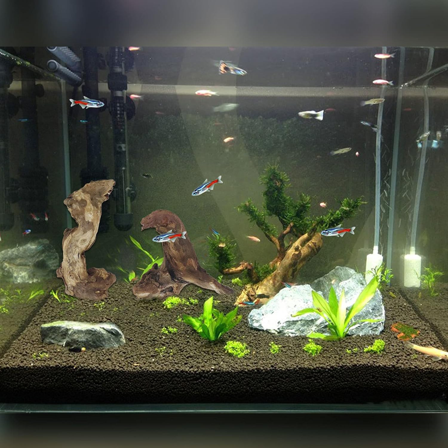 Aquarium Driftwood 10 PCS Natural Wood Driftwood Branches Habitat Decor