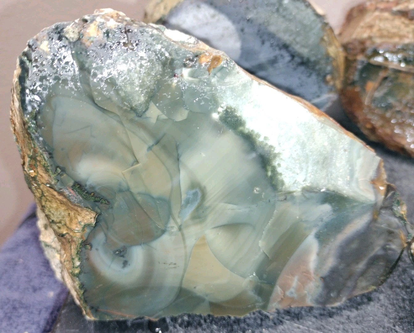 12LB ORBS Blue Mountain Picture of Jasper Rough 4pc Lot #21