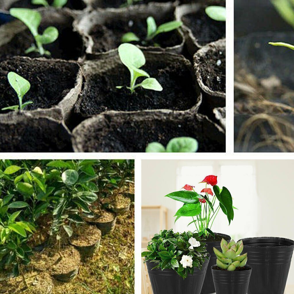 100 Plastic Plant Nursery Seed Starting Pots for Succulent Seedling Garden S M L