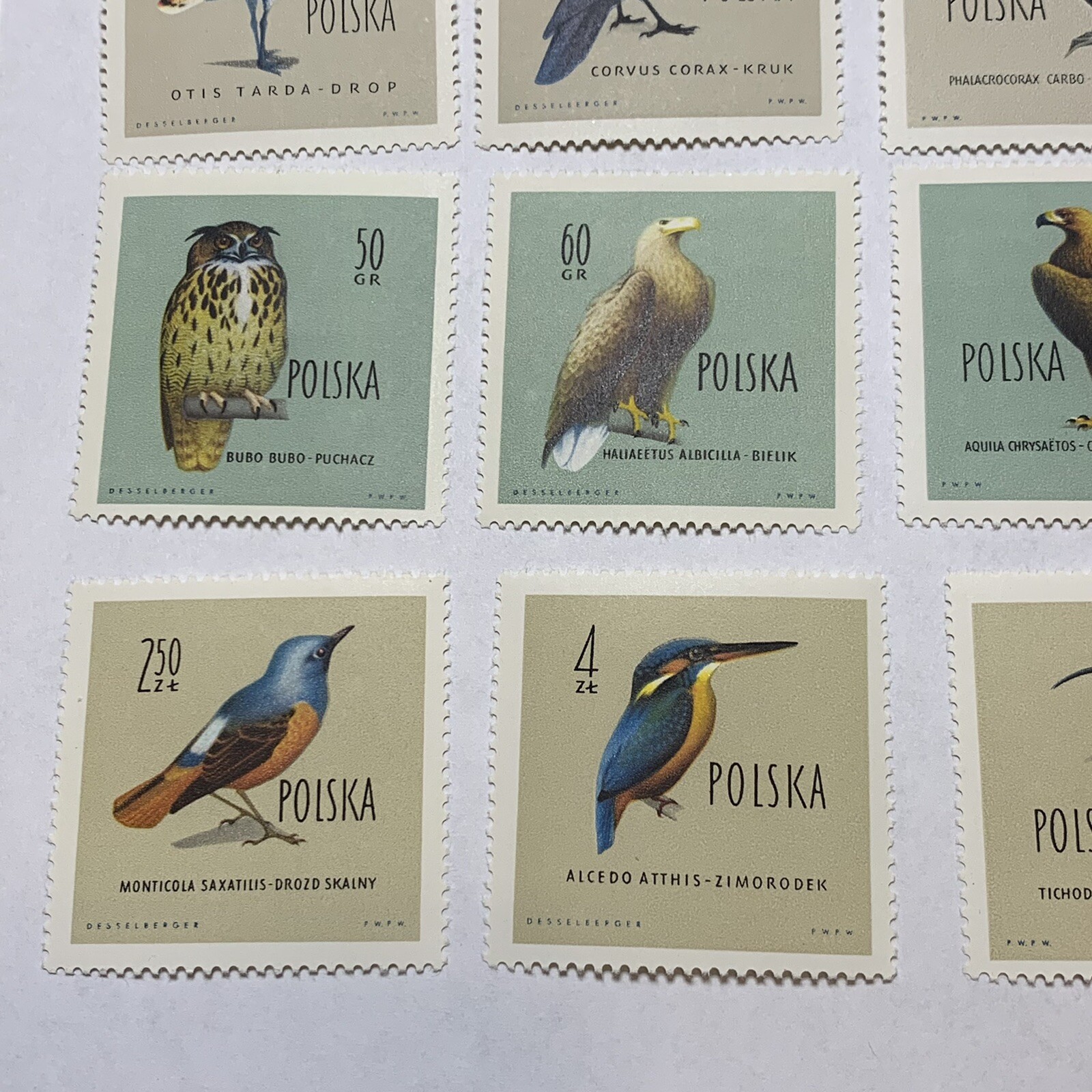 1960 POLAND MNH OG STAMP #935-946 COMPLETE SET PROTECTED BIRDS