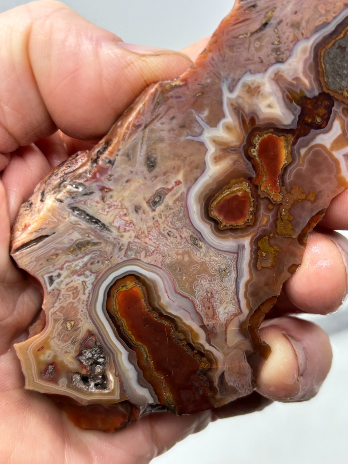 Turkish Stick Agate slab Cabbing Lapidary Collecting Combo Ship avail