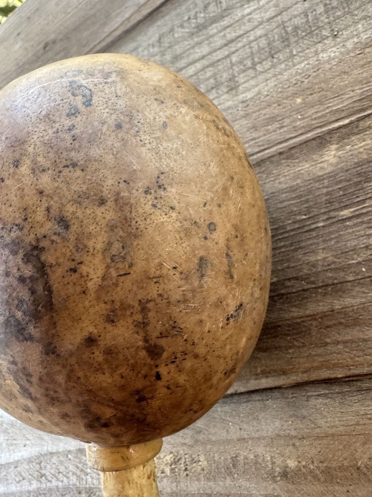 Vintage Decorated Gourd Rattle Turtle Design Folk Art Handcrafted