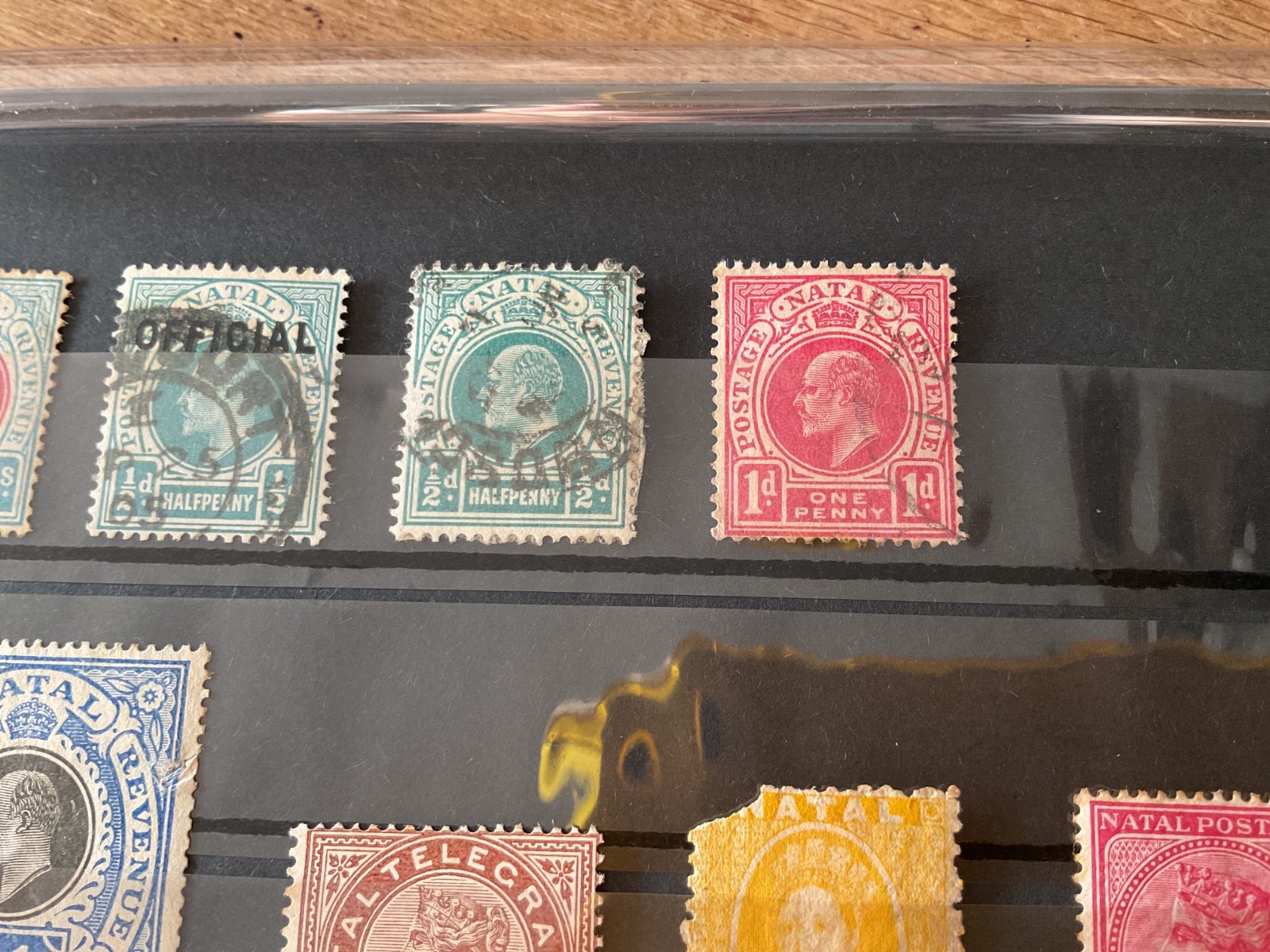 Natal mounted mint or used stamps B1482