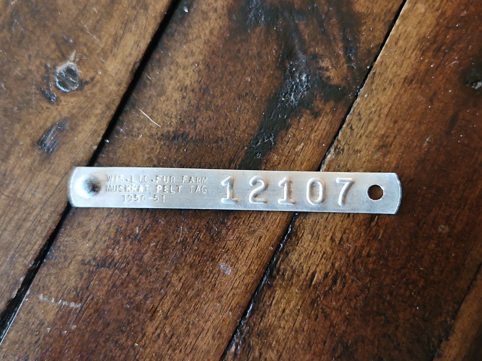 VTG 1950 - 51 Wisconsin Fur Farm Trap Tag Hunting License MUSKRAT PELT newhouse