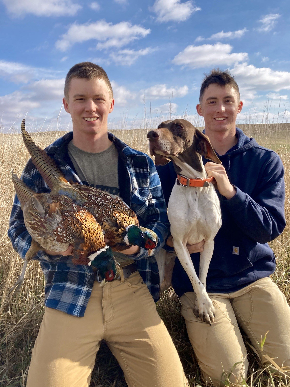 Rooster RINGNECK PHEASANT Full SKIN 2 Wings Tail Feathers Wall Art Man Cave