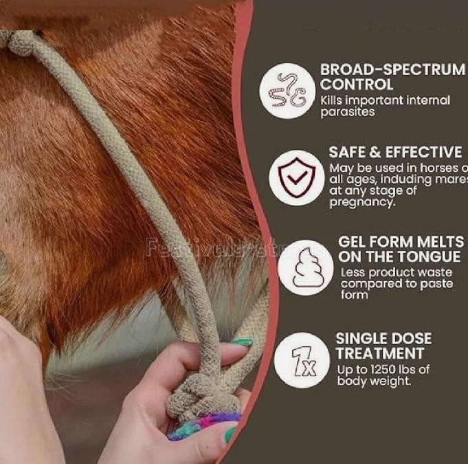 10 Pack New Paste Wormer Horse Dewormer Apple Flavor US Free Shipping