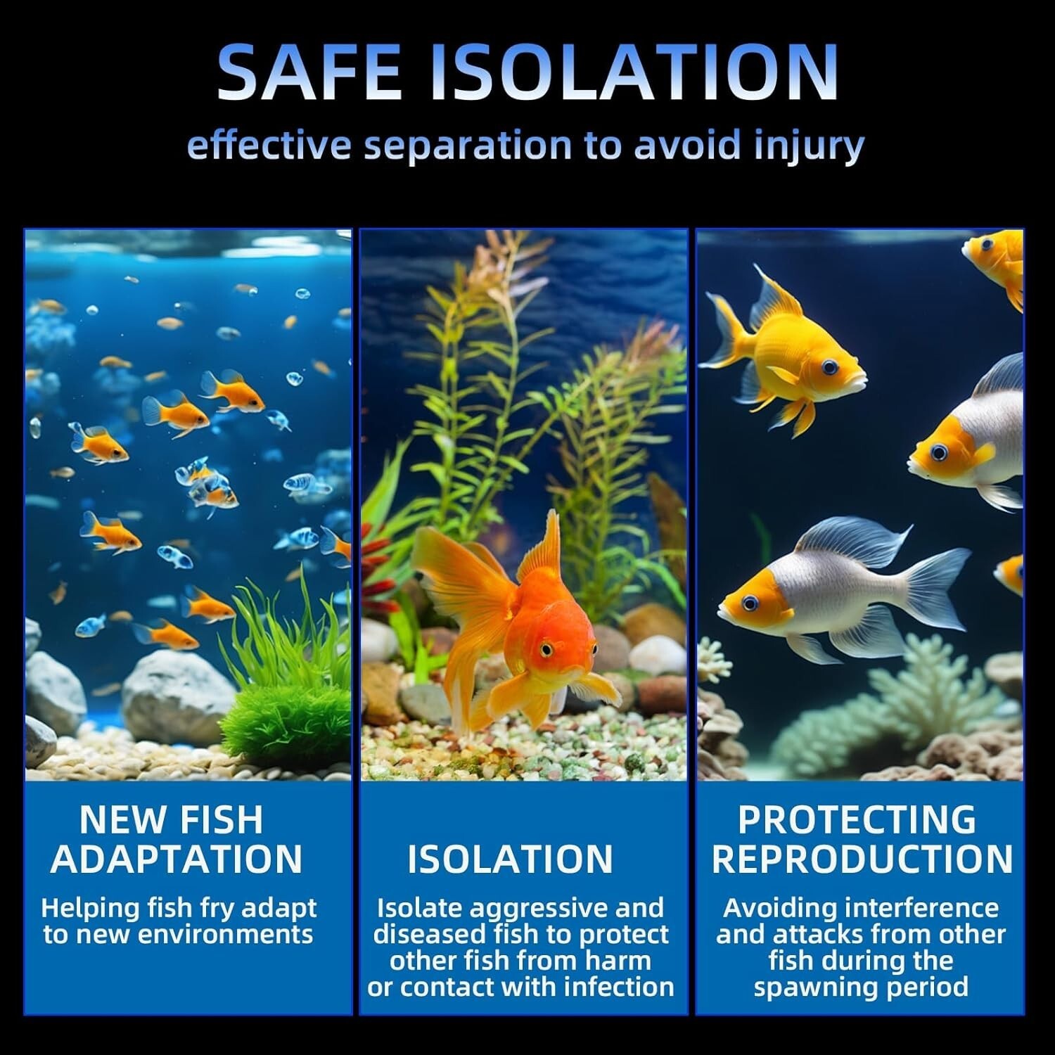 Breeder Box for Fish Tank,Fish Breeder Box for Aquarium, Guppy (2 Cells)