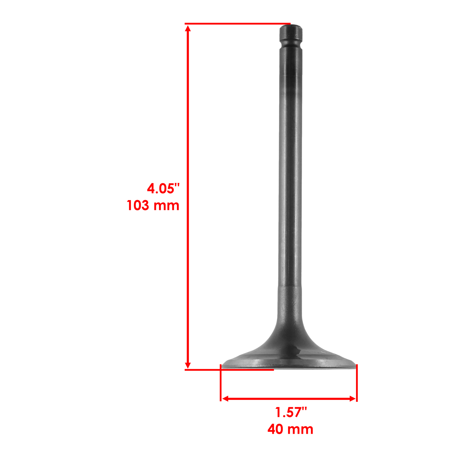 Caltric Engine Camshaft & Valve Kit For Yamaha Warrior 350 YFM350X 1987-2004