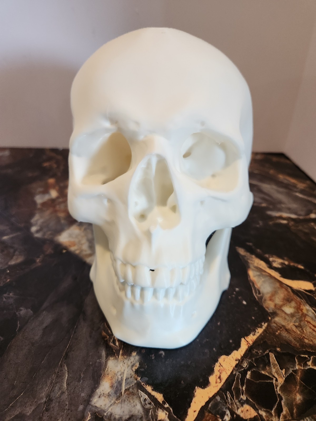 Human Skull Replica - 1:1 Medical Scan Anatomical-Study Gem