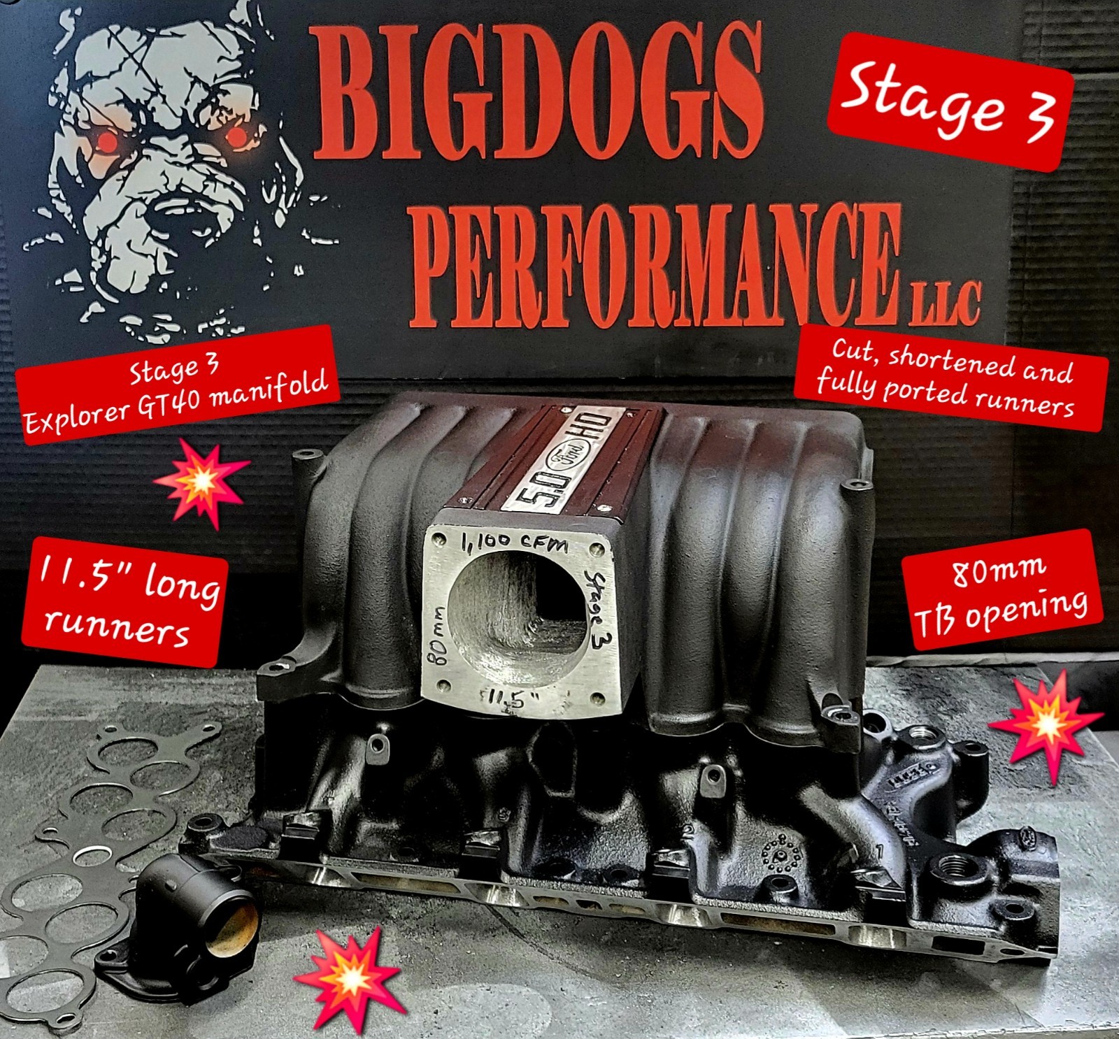 1986-95 STAGE 3 Explorer GT40 Intake manifold from BIGDOGS PORTING!
