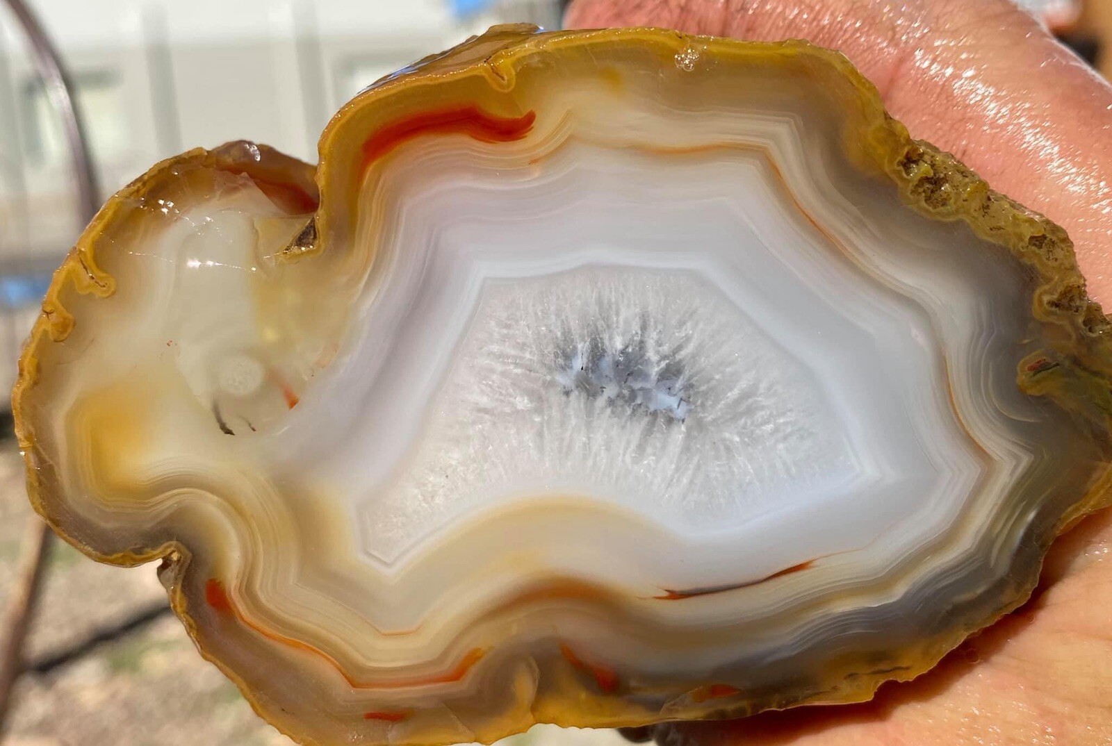 Colorful Agates From o6 Kokernot West Texas Ranch: Agate Rough Lapidary Rock