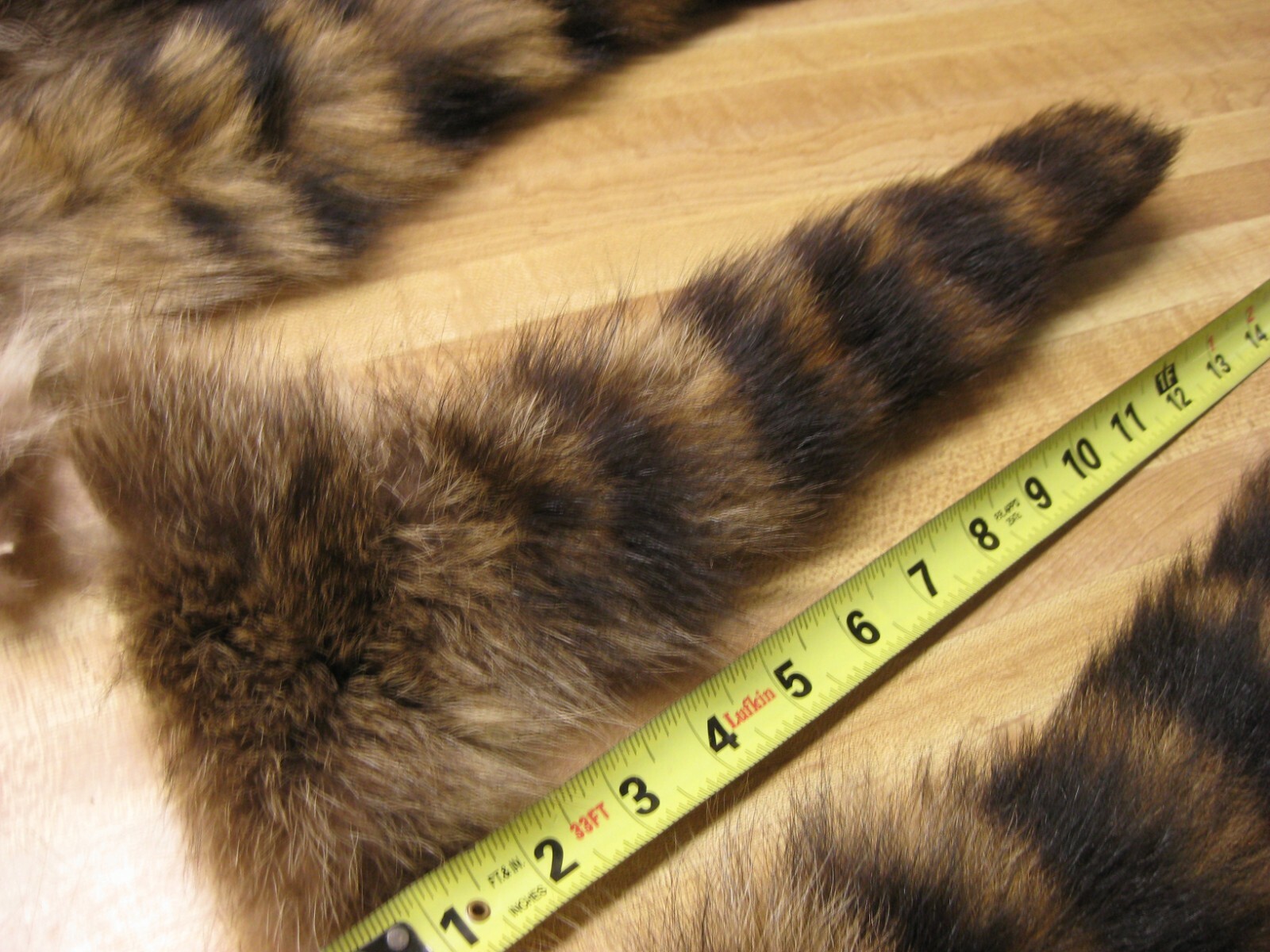 Large Tanned Jumbo Raccoon Tail Coon Fur Crafts 1 Tail Only