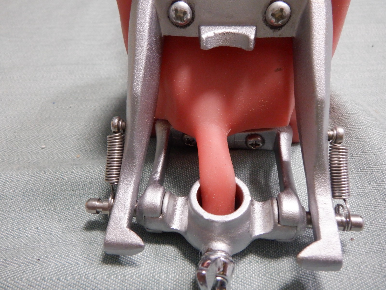 Nissin Typodont Dental Teeth