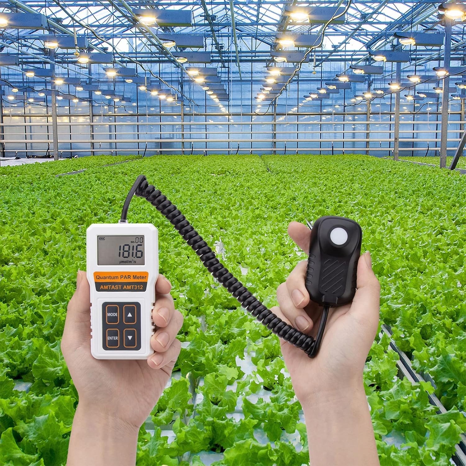 Advanced Quantum Sensor PAR Meter (Micromoles), Measure Light Intensity AMT312