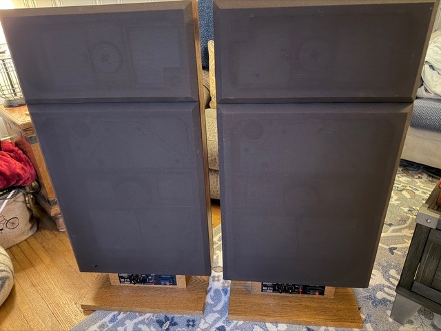 Bertagni (BES) SM-275 Planar Omnidirectional Panel Speakers 1 Owner SERVICED