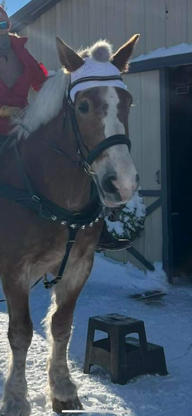 Leaders Leather Neck Bells for Equine of all Sizes, Sound Great!