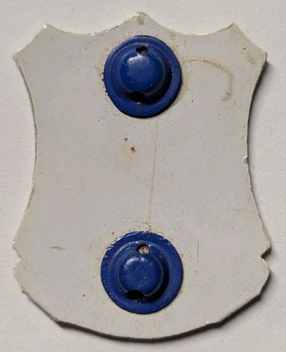 WW2 382nd Infantry Regt Plastic Unit Crest D.I.- 96 Div - Sew On Attachment