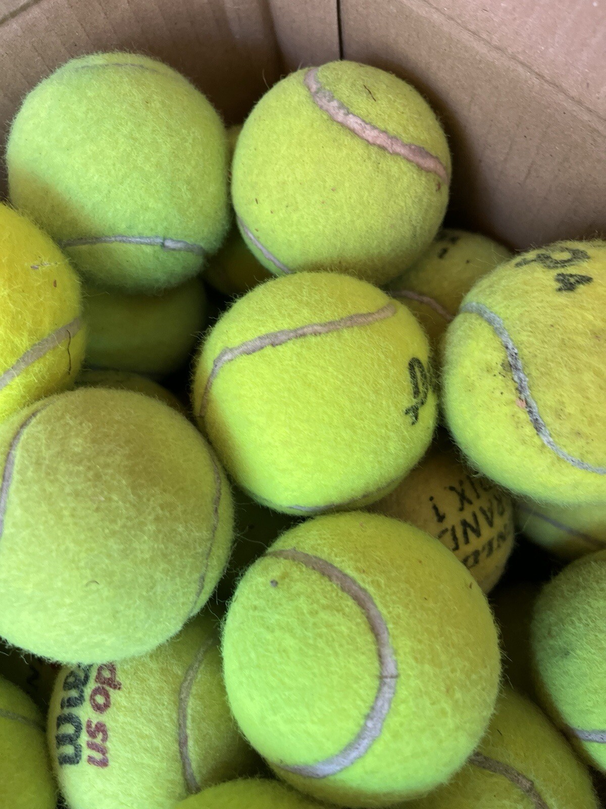 10 of Good Grade used Tennis Balls from Wilson, Dunlop, Penn, Head, etc Dog Toys