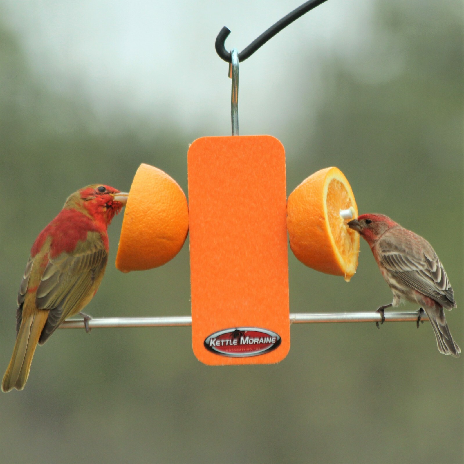 Kettle Moraine Recycled Plastic Single Oriole Orange Fruit Stick Feeder #8337