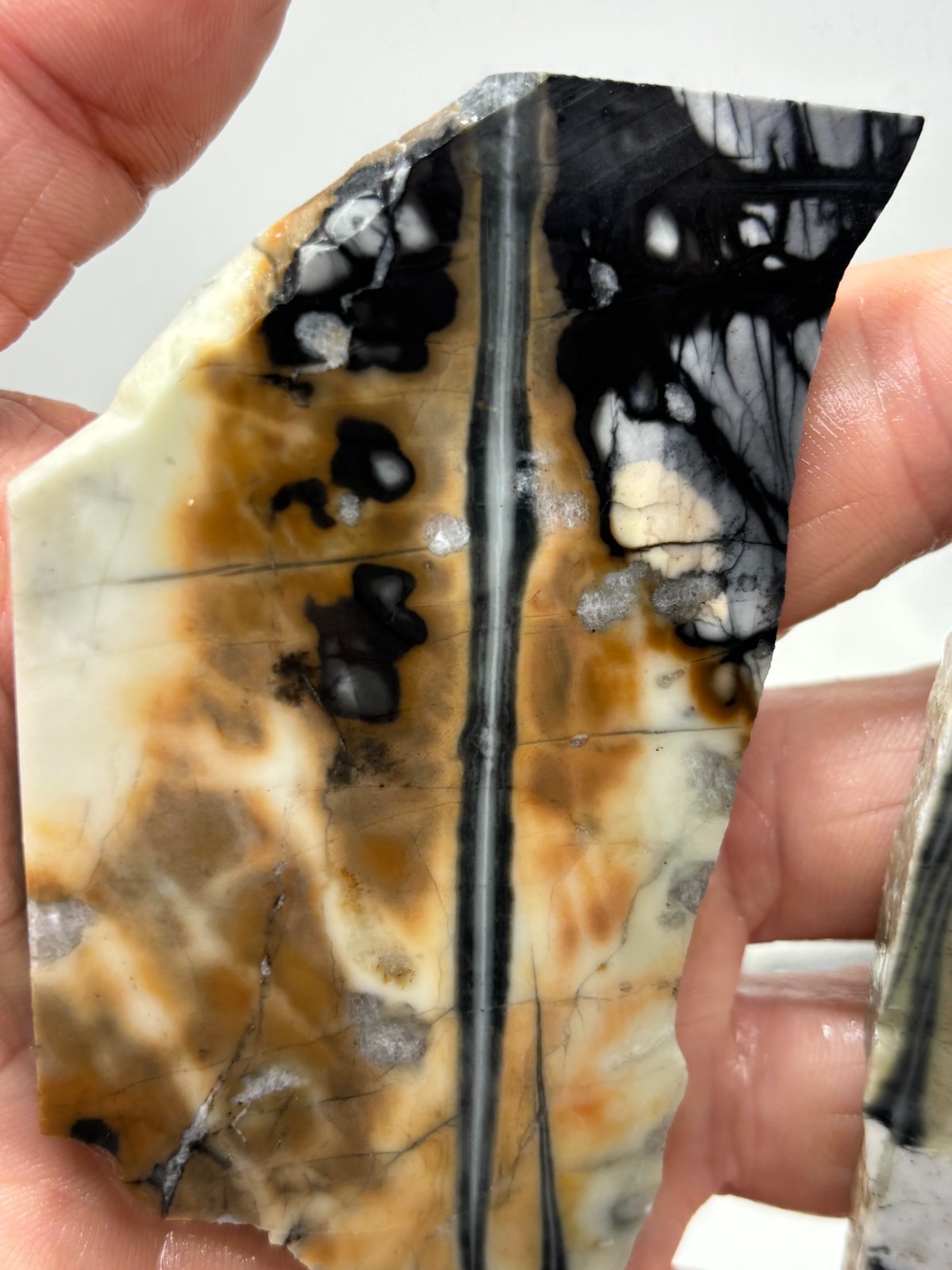 Picasso Marble (Jasper) Slabs Cabbing Lapidary Utah Combo Ship Avail