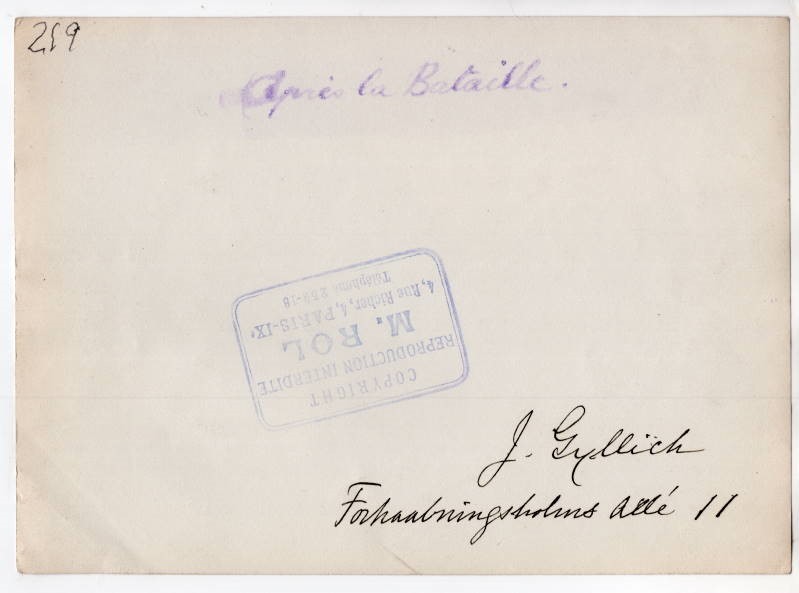 WWI After the Battle French Officers Look at Dead Horses M. Rol Original Photo