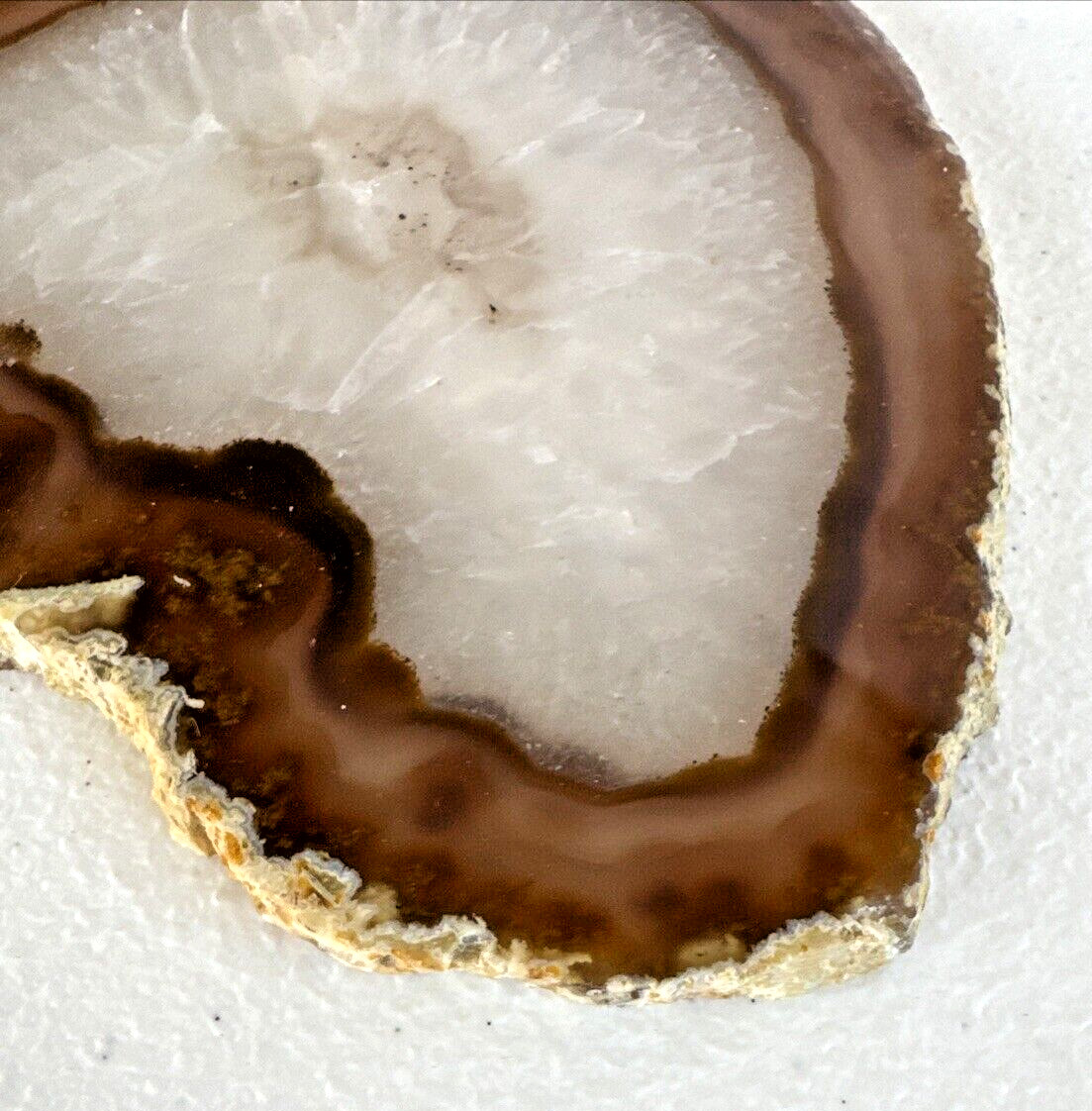 Beautiful Earth Tone Geode Slice Polished Natural Geode Mineral Rock Stone 5” W