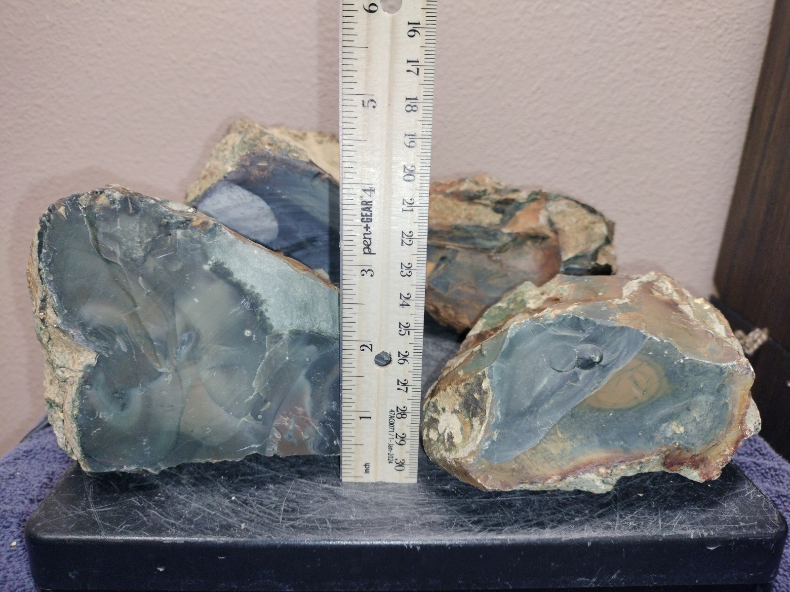 12LB ORBS Blue Mountain Picture of Jasper Rough 4pc Lot #21