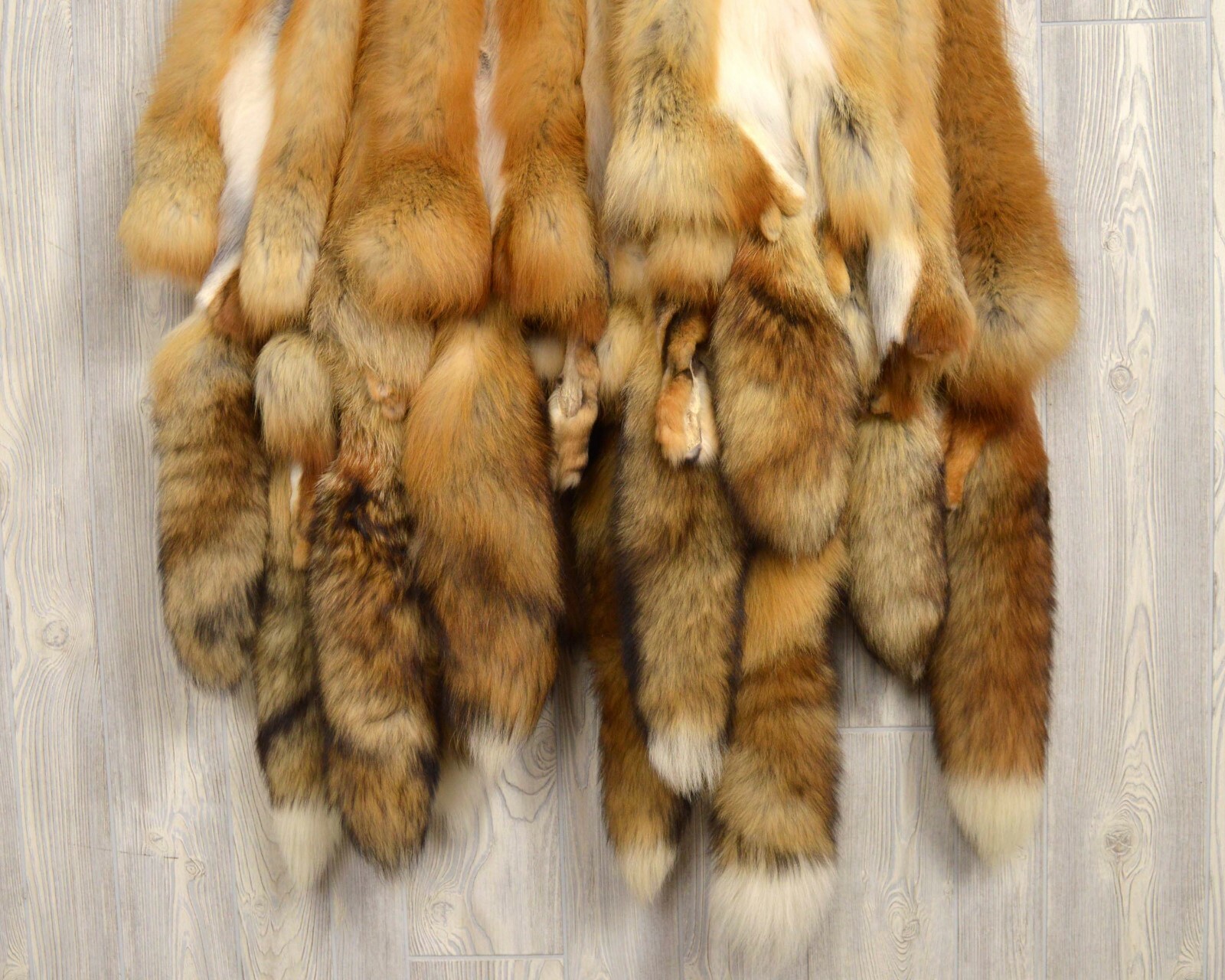 Tanned Red Fox Winter “Heavy Fur” Western Extra Large Premo (rfwhpremo)