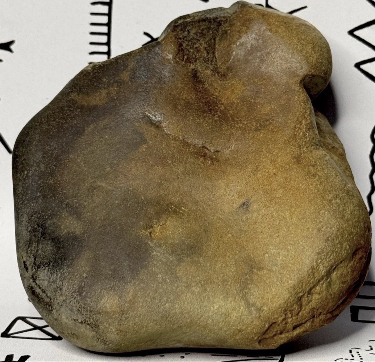 Native American Indian Authentic Artifact Stone Carved Effigy, 1 lb 3 oz • VA