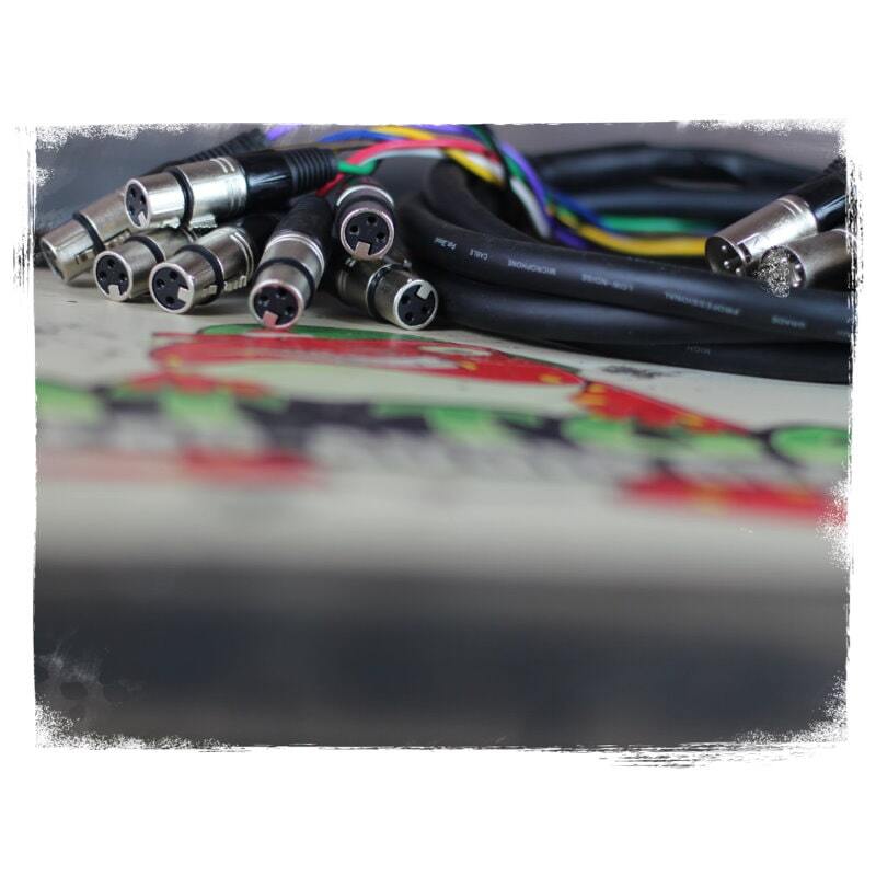 XLR Snake Cable Patch - 8 Channel 20ft Pro Audio Mic Cord Mixer Sound Stage PA