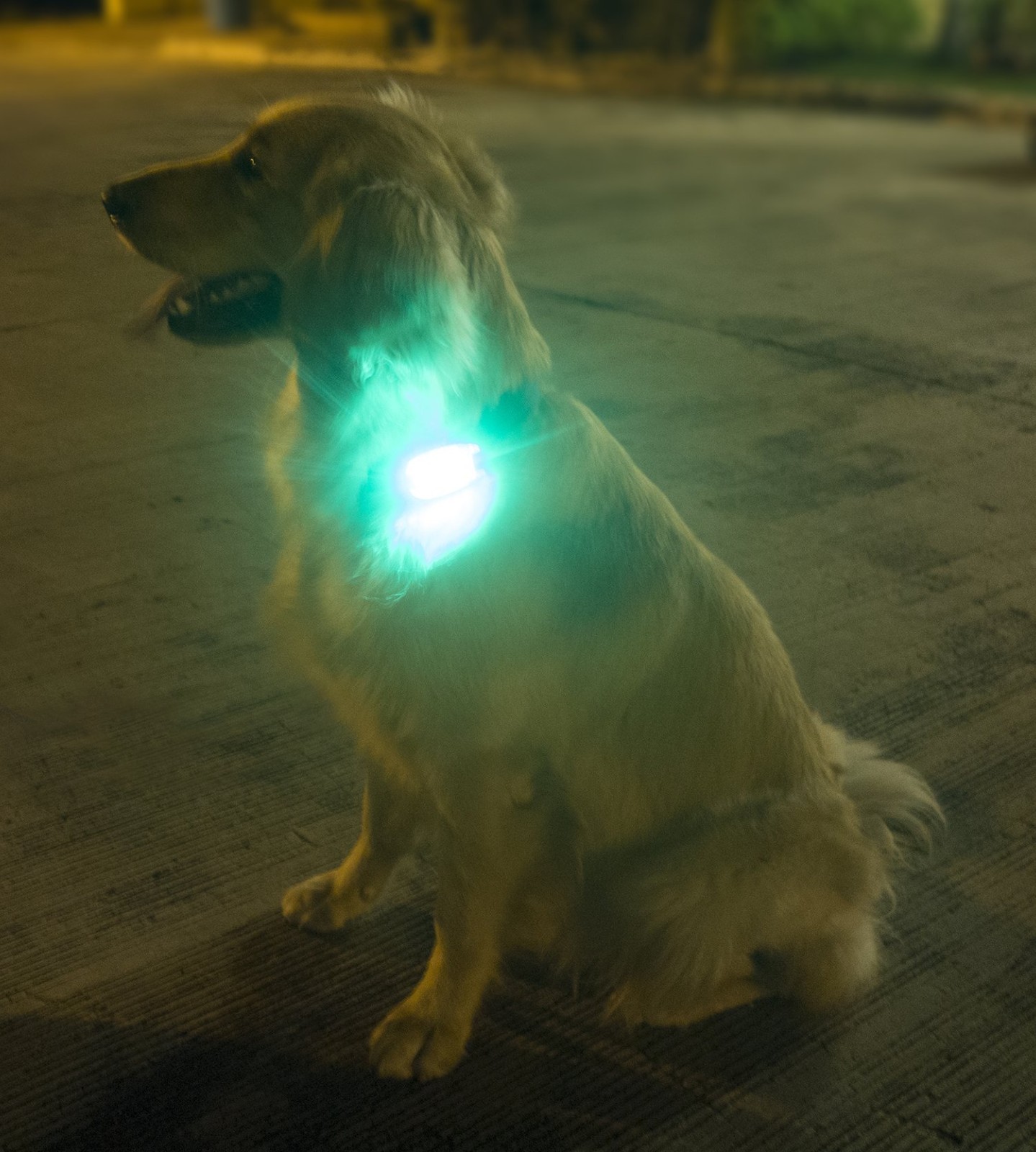 LED Safety Light 2 Pack Clip On Strobe Running Lights for Runners Bike Dog