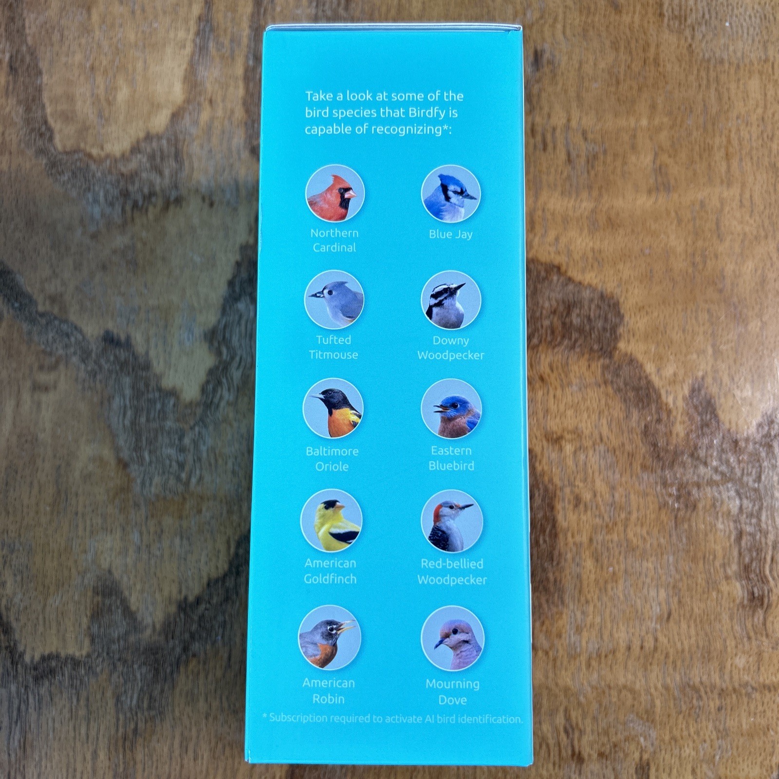 Birdfy Camera Smart Bird Camera Wild Bird Watching & Recording Video w/ Bracket