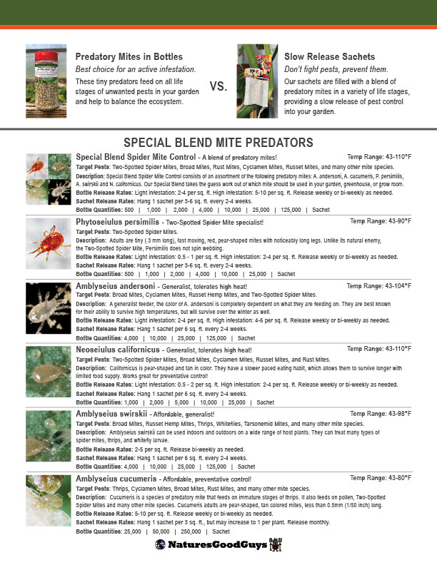 Special Blend Spider Mite Control Predatory Mites