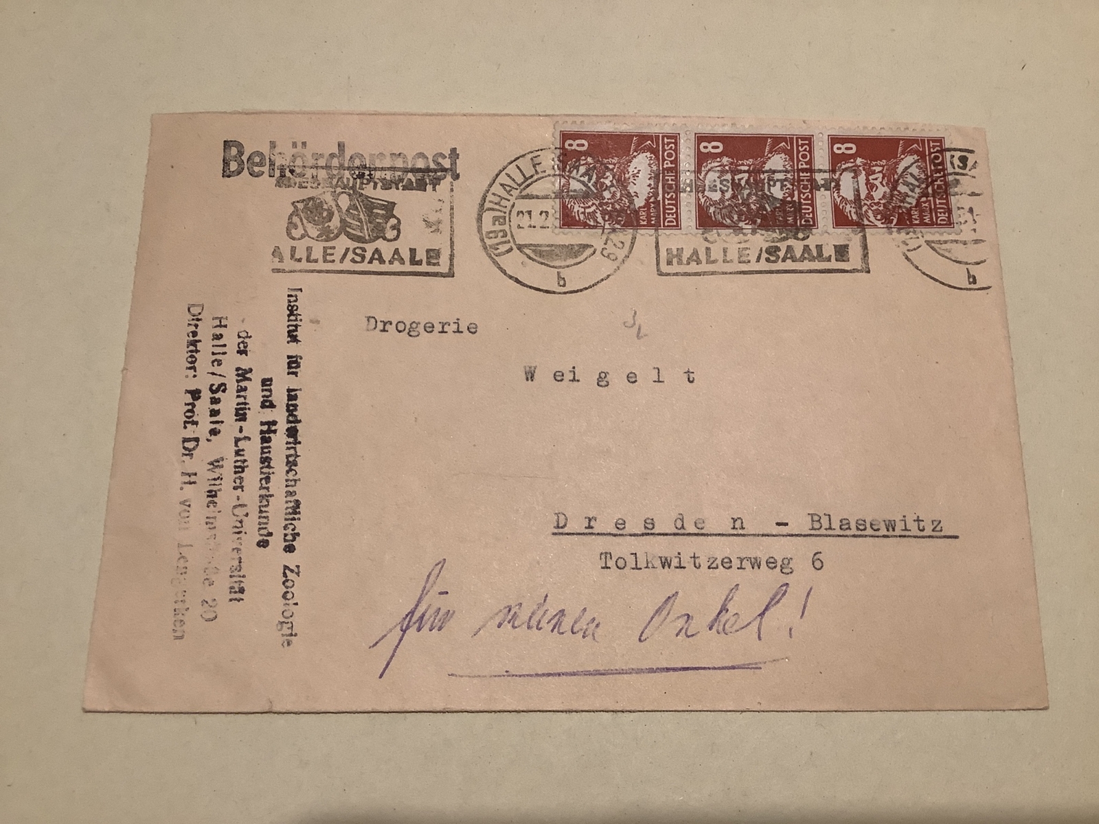 Germany Halle Saale 1951 Authority mail cover  Ref A793